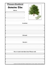 Pflanzensteckbrief-gem-Eibe.pdf